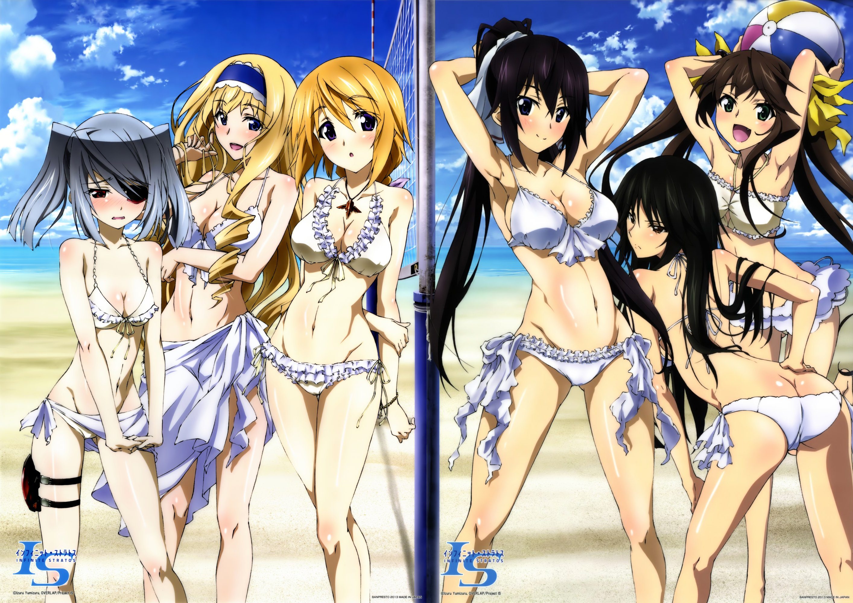 Charlotte Dunois - Infinite Stratos  page 3 of 30 - Zerochan Anime Image  Board